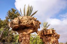 Works of Antoni Gaudí - Works of Antoni Gaudí, Barcelona: Palm tree-like columns in Park Güell. Park Güell is probably one of the most famous parks in... Works of Antoni Gaudí - Works of Antoni Gaudí, Barcelona: Palm tree-like columns in Park Güell. Park Güell is probably one of the most famous parks in...