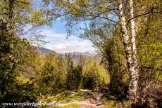 Madriu-Perafita-Claror Valley - Madriu-Perafita-Claror Valley: A donkey trail in the Madriu Valley, the Pyrenees Mountains in the background. The donkey trails are...