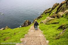 Sceilg Mhichíl - Skellig Michael - Skellig Michael - Sceilg Mhichíl: The hard struggle down the more than 600 steps of the ancient dry-stone stairway. There are a...