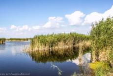 Fertö / Neusiedlersee Cultural Landscape - Fertö / Neusiedlersee Cultural Landscape: The reeds of the Neusiedlersee, Neusiedler Lake. The lake is one of the largest steppe lakes in... Fertö / Neusiedlersee Cultural Landscape - Fertö / Neusiedlersee Cultural Landscape: The reeds of the Neusiedlersee, Neusiedler Lake. The lake is one of the largest steppe lakes in...