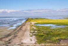 Danish part of the Wadden Sea - Danish Wadden Sea: A 9 km long concrete causeway leads over the salt marshes of the Wadden Sea to Rømø, the southernmost Wadden Sea... Danish part of the Wadden Sea - Danish Wadden Sea: A 9 km long concrete causeway leads over the salt marshes of the Wadden Sea to Rømø, the southernmost Wadden Sea...