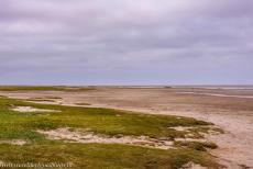 Wadden Sea: Denmark - The Wadden Sea is an outstanding natural area that stretches along the North Sea coast of the Netherlands, Germany, and Denmark, from the Dutch... Wadden Sea: Denmark - The Wadden Sea is an outstanding natural area that stretches along the North Sea coast of the Netherlands, Germany, and Denmark, from the Dutch...