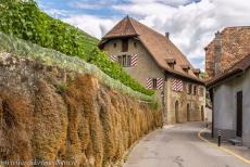 Wijngaardterrassen van de Lavaux - Wijngaardterrassen van Lavaux: Een nauw straatje in Villette, een van de dorpjes in de Lavaux, een wijnstreek in Zwitserland, de wijngaarden...