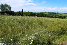 Pilgrimage Park in Kalwaria Zebrzydowska - The Calvary of Kalwaria Zebrzydowska is based on the Via Dolorosa in Jerusalem. The chapels of the Calvary Sanctuary of Kalwaria Zebrzydowska... Pilgrimage Park in Kalwaria Zebrzydowska - The Calvary of Kalwaria Zebrzydowska is based on the Via Dolorosa in Jerusalem. The chapels of the Calvary Sanctuary of Kalwaria Zebrzydowska...