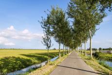 Droogmakerij de Beemster (Beemster Polder) - The Beemster Polder is known for its straight ditches and roads lined with trees. Already in the 8th century, the Dutch started to build dikes to... Droogmakerij de Beemster (Beemster Polder) - The Beemster Polder is known for its straight ditches and roads lined with trees. Already in the 8th century, the Dutch started to build dikes to...
