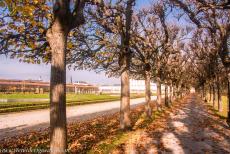 Augustusburg Castle at Brühl - Castles of Augustusburg and Falkenlust at Brühl: The Garden Walk in Augustusburg Park. The design of Schlosspark Augustusburg was inspired by... Augustusburg Castle at Brühl - Castles of Augustusburg and Falkenlust at Brühl: The Garden Walk in Augustusburg Park. The design of Schlosspark Augustusburg was inspired by...
