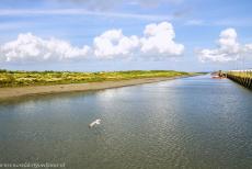 Dutch part of the Wadden Sea - Animals like seals live in the Wadden Sea, it is also a popular breeding area and tanking station for a large number of migrating... Dutch part of the Wadden Sea - Animals like seals live in the Wadden Sea, it is also a popular breeding area and tanking station for a large number of migrating...