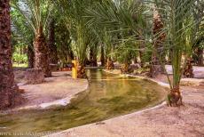 Palmeral of Elche - Palmeral of Elche: The palms are planted along a network of irrigation canals, the water comes from the River Vinalopó, the irrigation... Palmeral of Elche - Palmeral of Elche: The palms are planted along a network of irrigation canals, the water comes from the River Vinalopó, the irrigation...