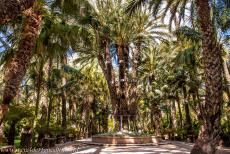Palmeral of Elche - The Palmeral of Elche: A famous date palm is the Imperial Palm, the Palmera Imperial. The palm is named after Empress Elisabeth of... Palmeral of Elche - The Palmeral of Elche: A famous date palm is the Imperial Palm, the Palmera Imperial. The palm is named after Empress Elisabeth of...
