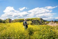 Archaeological Site of Tiryns - Archaeological Site of Tiryns: Today, parts of the ruins of Tiryns are overgrown with wild plants. Tiryns is situated on the... Archaeological Site of Tiryns - Archaeological Site of Tiryns: Today, parts of the ruins of Tiryns are overgrown with wild plants. Tiryns is situated on the...