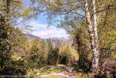 Madriu-Perafita-Claror Valley - Madriu-Perafita-Claror Valley: A donkey trail in the Madriu Valley, the Pyrenees Mountains in the background. The donkey trails are... Madriu-Perafita-Claror Valley - Madriu-Perafita-Claror Valley: A donkey trail in the Madriu Valley, the Pyrenees Mountains in the background. The donkey trails are...