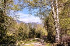 Madriu-Perafita-Claror Valley - One of the many donkey paths in the Madriu-Perafita-Claror Valley, with the Pyrenees Mountains in the background. Hardly anything has changed in... Madriu-Perafita-Claror Valley - One of the many donkey paths in the Madriu-Perafita-Claror Valley, with the Pyrenees Mountains in the background. Hardly anything has changed in...