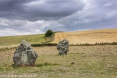 West Kennet Avenue - Stonehenge, Avebury and Associated Sites: A female diamond shaped stone of the West Kennet Avenue. Excavations indicated that around 100...