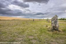 West Kennet Avenue - A pillar-like male stone of West Kennet Avenue. The avenue consisted of about hundred pairs of standing stones. The stones of...