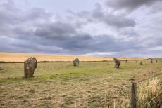 West Kennet Avenue - West Kennet Avenue: The two rows of standing stones of West Kennet Avenue looking towards Avebury. Many of the stones had already been disappeared...