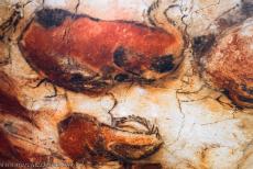 Cave Art of Altamira and Tito Bustillo - Paleolithic Cave Art of Northern Spain, the Altamira Cave: A detail of the ceiling of the Altamira Cave. The ceiling is covered in painted... Cave Art of Altamira and Tito Bustillo - Paleolithic Cave Art of Northern Spain, the Altamira Cave: A detail of the ceiling of the Altamira Cave. The ceiling is covered in painted...