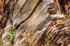 Prehistoric Rock Art of Siega Verde - Prehistoric Rock Art Site of Siega Verde: The rock art of Siega Verde is located inside a protected archaeological area. The site... Prehistoric Rock Art of Siega Verde - Prehistoric Rock Art Site of Siega Verde: The rock art of Siega Verde is located inside a protected archaeological area. The site...