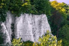 Ancient and Primeval Beech Forests of Europe - Jasmund National Park: The Feuerregenfelsen, the Fire Rain Rock, a cliff in the Stubbenkammer area. Around 1850, a special attraction... Ancient and Primeval Beech Forests of Europe - Jasmund National Park: The Feuerregenfelsen, the Fire Rain Rock, a cliff in the Stubbenkammer area. Around 1850, a special attraction...