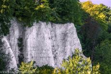 Ancient and Primeval Beech Forests of Europe - Jasmund National Park: The Feuerregenfelsen (Fire Rain Rock) is a cliff in the Stubbenkammer area. Around 1850, a special... Ancient and Primeval Beech Forests of Europe - Jasmund National Park: The Feuerregenfelsen (Fire Rain Rock) is a cliff in the Stubbenkammer area. Around 1850, a special...