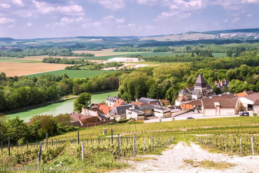 Champagne Hillsides - Champagne Hillsides, Wine Houses and Cellars: The village of Mareuil-sur-Aÿ viewed from the Mont du Gruguet, the Gruguet Mount; the 180... Champagne Hillsides - Champagne Hillsides, Wine Houses and Cellars: The village of Mareuil-sur-Aÿ viewed from the Mont du Gruguet, the Gruguet Mount; the 180...