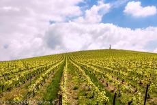 Champagne Hillsides - Champagne Hillsides, Wine Houses and Cellars: Champagne is the name of the most celebrated sparkling wine in the... Champagne Hillsides - Champagne Hillsides, Wine Houses and Cellars: Champagne is the name of the most celebrated sparkling wine in the...