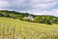 Champagne Hillsides - Champagne Hillsides, Houses and Cellars: The Abbey Church of Hautvillers is surrounded by rolling vineyards. The village of Hautvillers... Champagne Hillsides - Champagne Hillsides, Houses and Cellars: The Abbey Church of Hautvillers is surrounded by rolling vineyards. The village of Hautvillers...