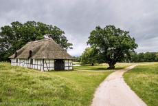 The par force hunting landscape in North Zealand - The par force hunting landscape in North Zealand: An old thatched barn next to an English Oak. The English Oak is called... The par force hunting landscape in North Zealand - The par force hunting landscape in North Zealand: An old thatched barn next to an English Oak. The English Oak is called...