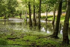 The par force hunting landscape in North Zealand - The par force hunting landscape in North Zealand: The mysterious Dousbad Swamp. Over the last four hundred years, the trees have been allowed to... The par force hunting landscape in North Zealand - The par force hunting landscape in North Zealand: The mysterious Dousbad Swamp. Over the last four hundred years, the trees have been allowed to...