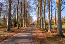 Colonies of Benevolence - Colonies of Benevolence: The Beech Avenue of Westerbeek House. The characteristic Beech Avenue of Huis Westerbeek. In the 19th century, the... Colonies of Benevolence - Colonies of Benevolence: The Beech Avenue of Westerbeek House. The characteristic Beech Avenue of Huis Westerbeek. In the 19th century, the...