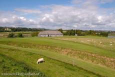 Viking-Age Ring Fortresses - Viking-Age Ring Fortresses in Denmark: The earthen ramparts and dry moat of Fyrkat Fortress, a reconstructed Viking longhouse in...