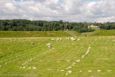 Viking-Age Ring Fortresses - Viking-Age Ring Fortresses in Denmark: Fyrkat Fortress was built around 980 CE. It was only in use for a few years before it was...