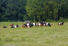 Schokland and Surroundings - Schokland and Surroundings: Until the 17th century, there was enough suitable soil for farming and cattle breeding. Storms and floods caused... Schokland and Surroundings - Schokland and Surroundings: Until the 17th century, there was enough suitable soil for farming and cattle breeding. Storms and floods caused...