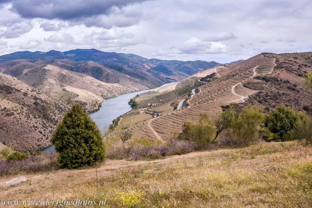 Alto Douro Wine Region - The breathtaking landscape of the Alto Douro Wine Region is situated along the Douro River in Portugal. The Alto Douro Wine Region is... Alto Douro Wine Region - The breathtaking landscape of the Alto Douro Wine Region is situated along the Douro River in Portugal. The Alto Douro Wine Region is...